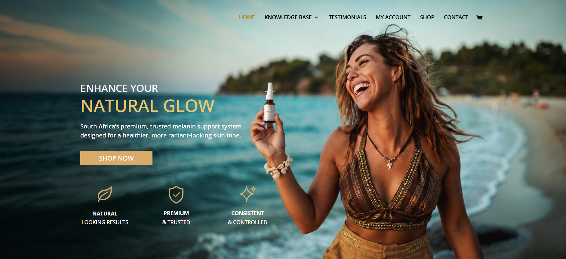 Hetjou Website Design Client portfolio